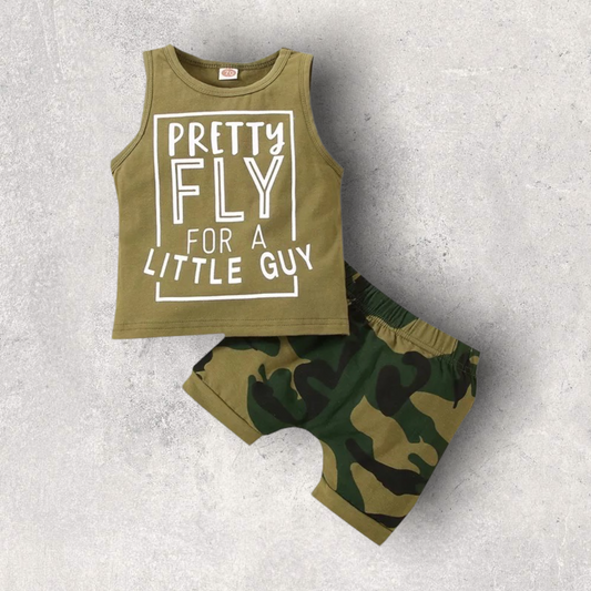 Fly